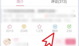 b站视频怎么缓存,轻松保存视频内容